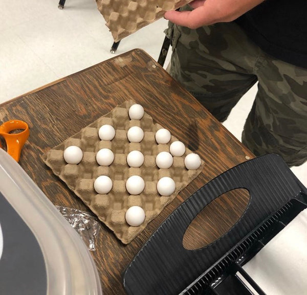 Incubating Quail Eggs in Class Is More Than Just Hatching Eggs