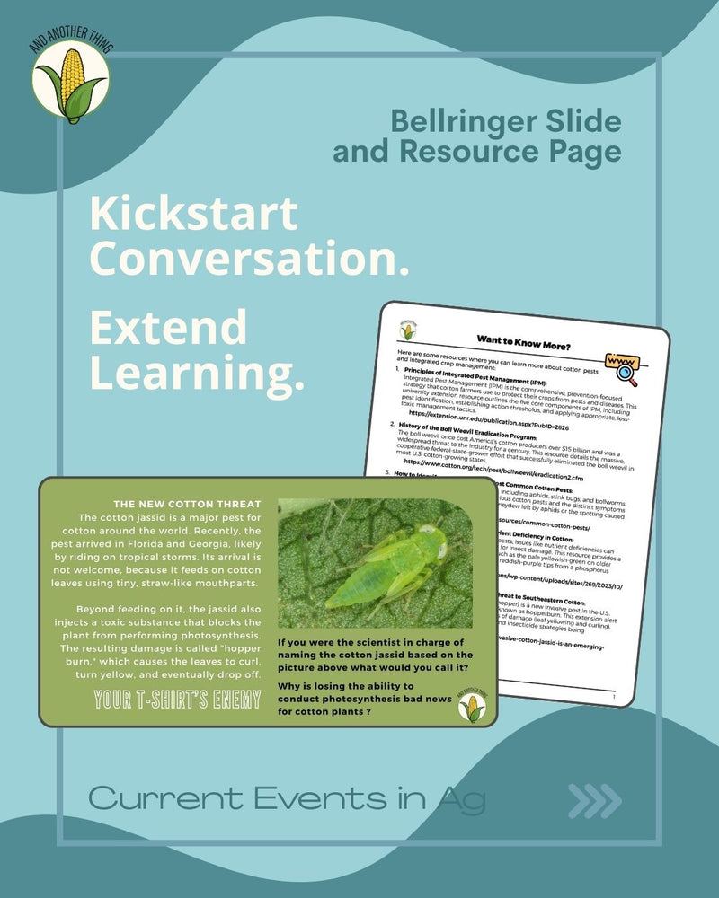 Load image into Gallery viewer, And Another Thing CURRENT EVENTS, Cotton Jassid (ANNUAL)