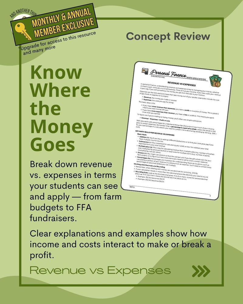 Load image into Gallery viewer, And Another Thing MATH APPLICATION, Personal Finance REVENUE VS EXPENSES (ANNUAL)