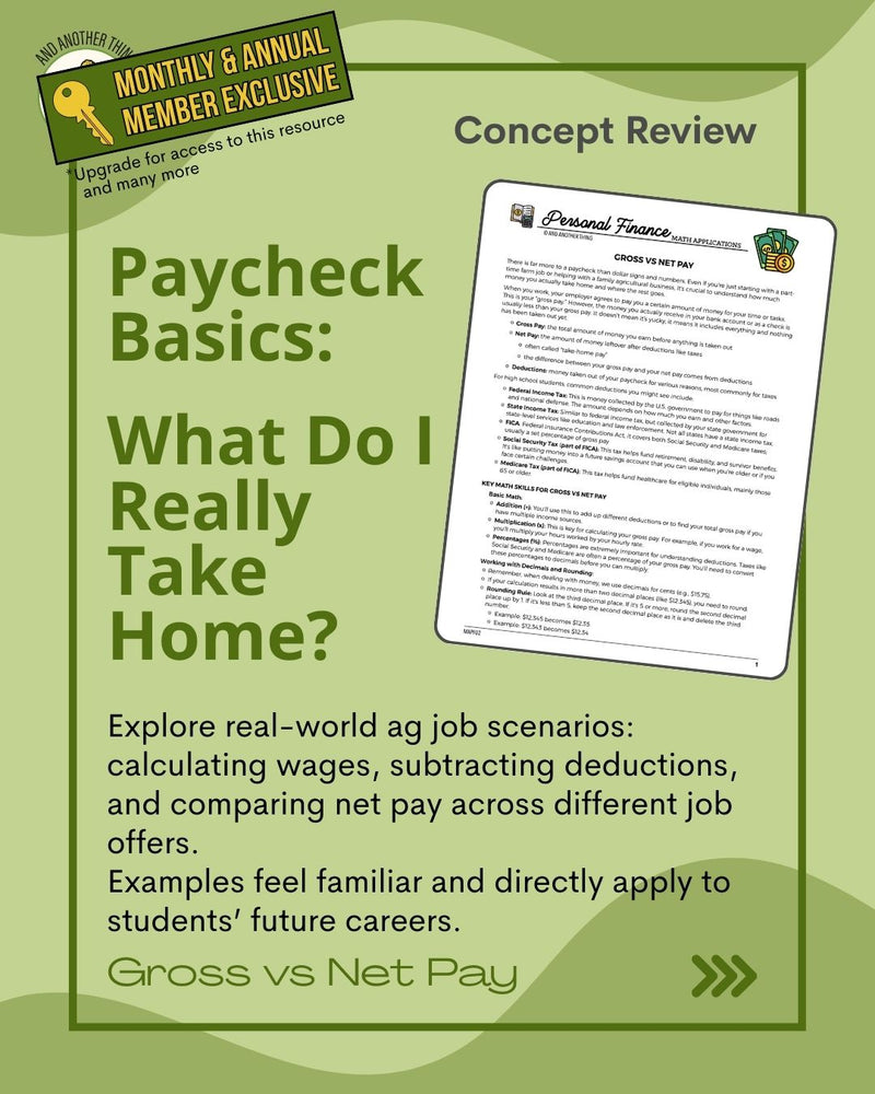 Load image into Gallery viewer, And Another Thing MATH APPLICATION, Personal Finance GROSS VS NET PAY (ANNUAL)