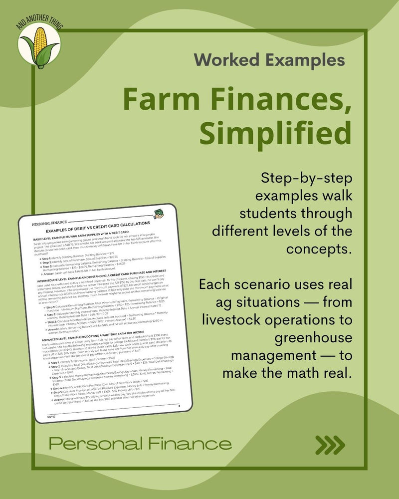 Load image into Gallery viewer, And Another Thing MATH APPLICATION, Personal Finance DEBIT VS CREDIT CARDS (ANNUAL)