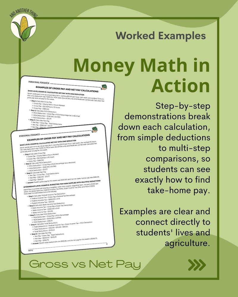 Load image into Gallery viewer, And Another Thing MATH APPLICATION, Personal Finance GROSS VS NET PAY (ANNUAL)