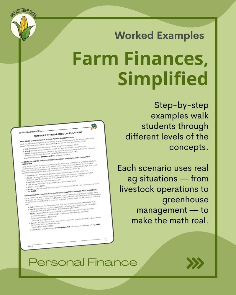 Load image into Gallery viewer, And Another Thing MATH APPLICATION, Personal Finance INSURANCE (ANNUAL)