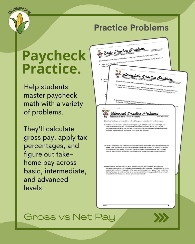 Load image into Gallery viewer, And Another Thing MATH APPLICATION, Personal Finance GROSS VS NET PAY (ANNUAL)