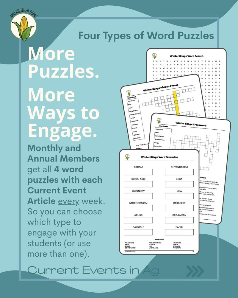 Load image into Gallery viewer, And Another Thing CURRENT EVENTS, Winter Silage (ANNUAL)