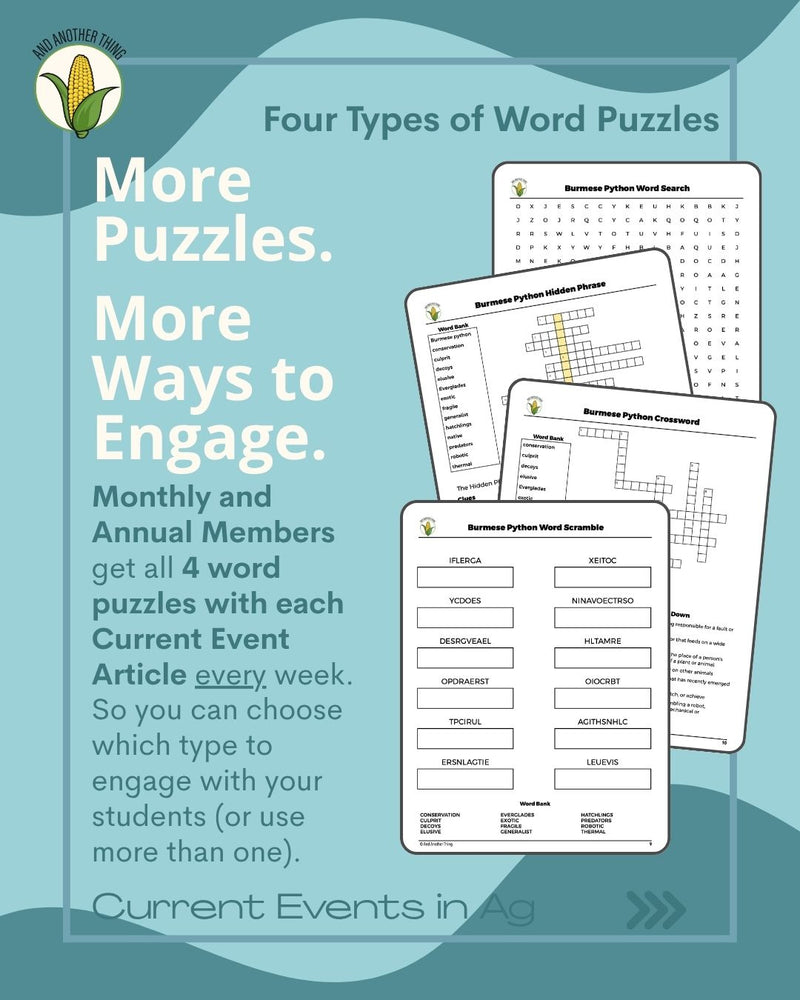 Load image into Gallery viewer, And Another Thing CURRENT EVENTS, Burmese Pythons (ANNUAL)