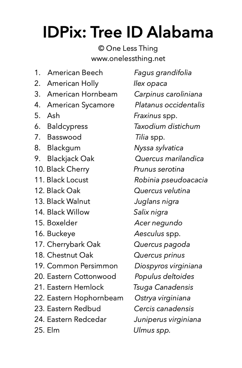 Load image into Gallery viewer, Alabama Tree ID, IDPix Cards