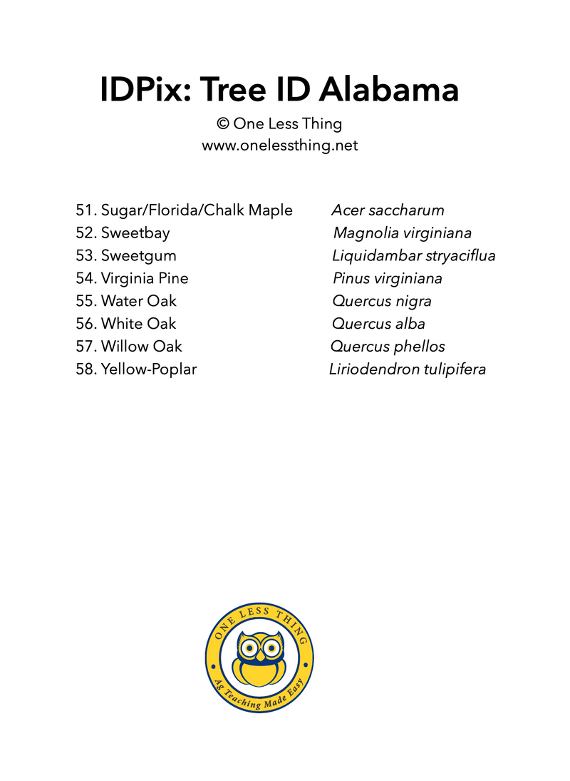 Load image into Gallery viewer, Alabama Tree ID, IDPix Cards