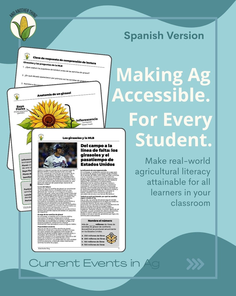 Load image into Gallery viewer, And Another Thing CURRENT EVENTS, Sunflowers (ANNUAL)