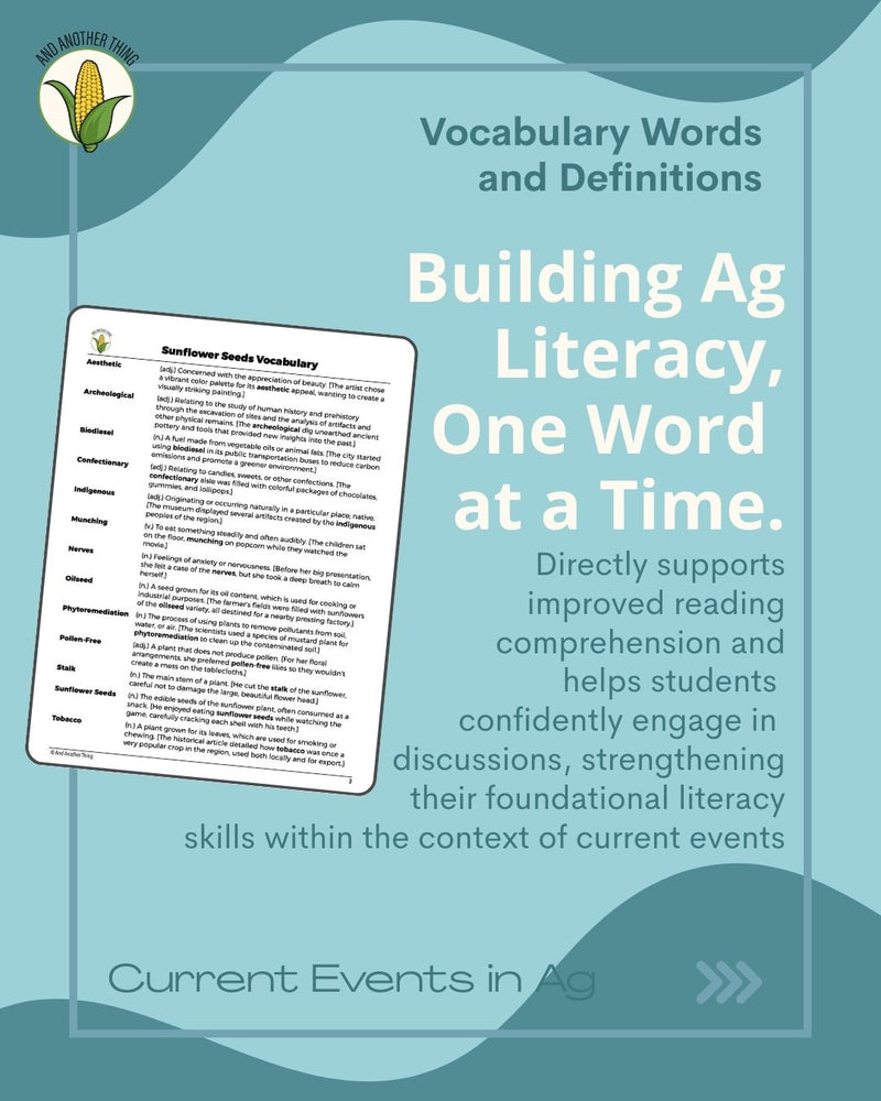 Load image into Gallery viewer, And Another Thing CURRENT EVENTS, Sunflowers (ANNUAL)