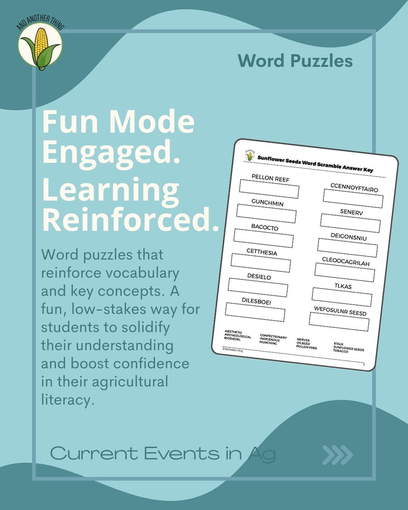 Load image into Gallery viewer, And Another Thing CURRENT EVENTS, Sunflowers (ANNUAL)