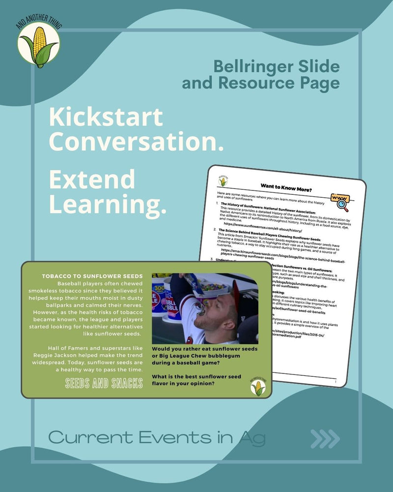 Load image into Gallery viewer, And Another Thing CURRENT EVENTS, Sunflowers (ANNUAL)