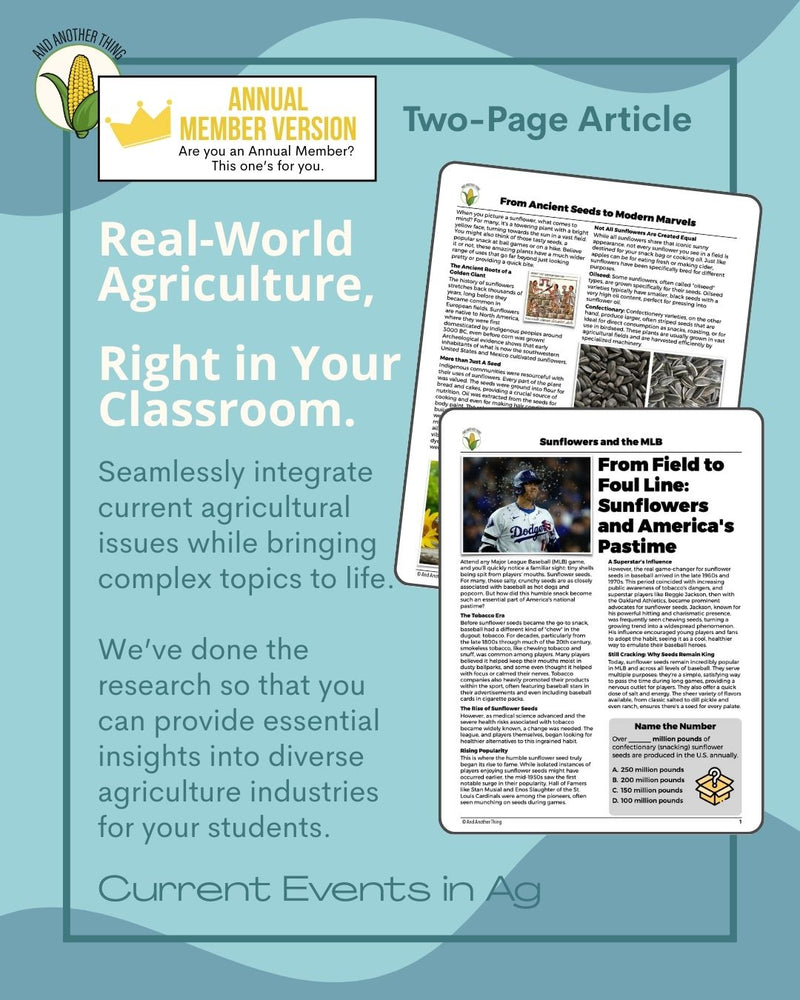 Load image into Gallery viewer, And Another Thing CURRENT EVENTS, Sunflowers (ANNUAL)