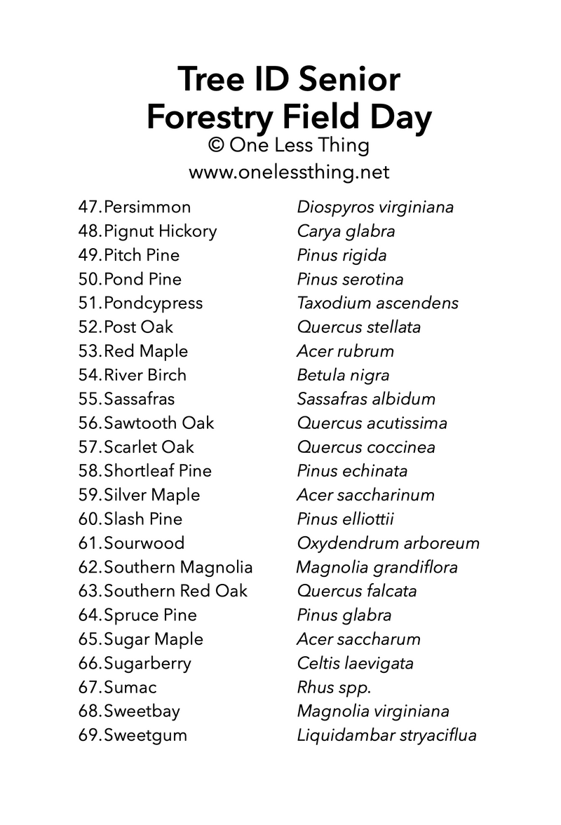 Load image into Gallery viewer, Forestry Field Day Senior Tree ID, IDPix Cards