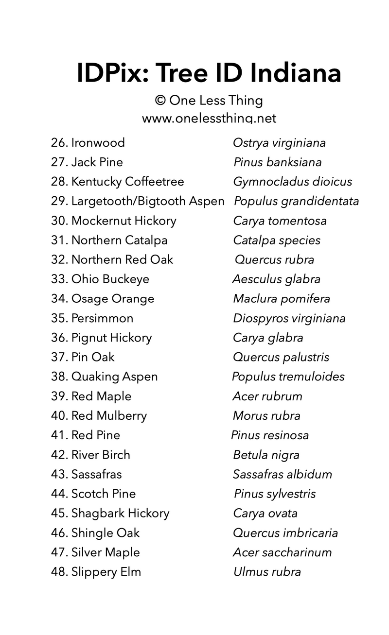 Load image into Gallery viewer, Indiana Tree ID, IDPix Cards