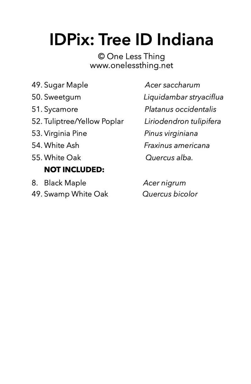 Load image into Gallery viewer, Indiana Tree ID, IDPix Cards