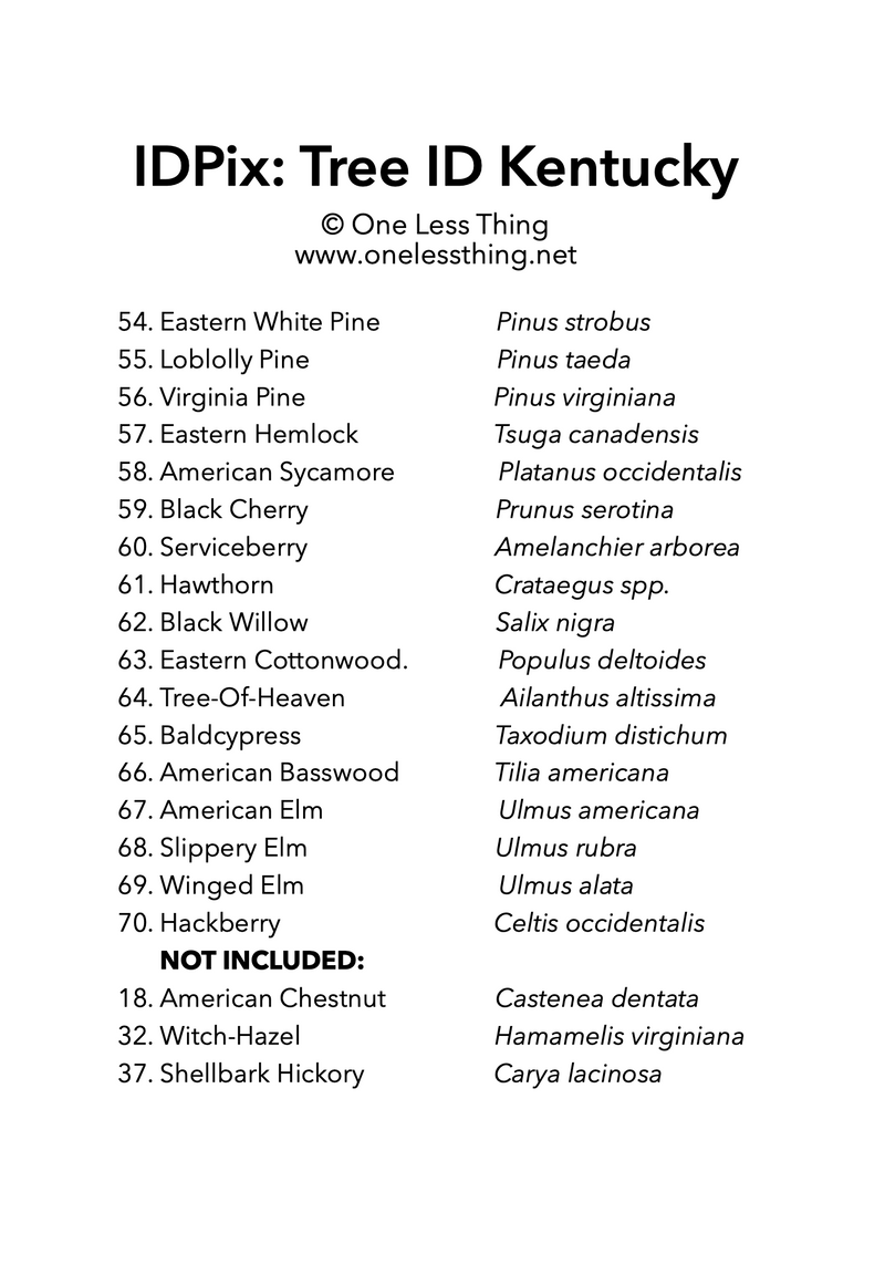 Load image into Gallery viewer, Kentucky Tree ID, IDPix Cards