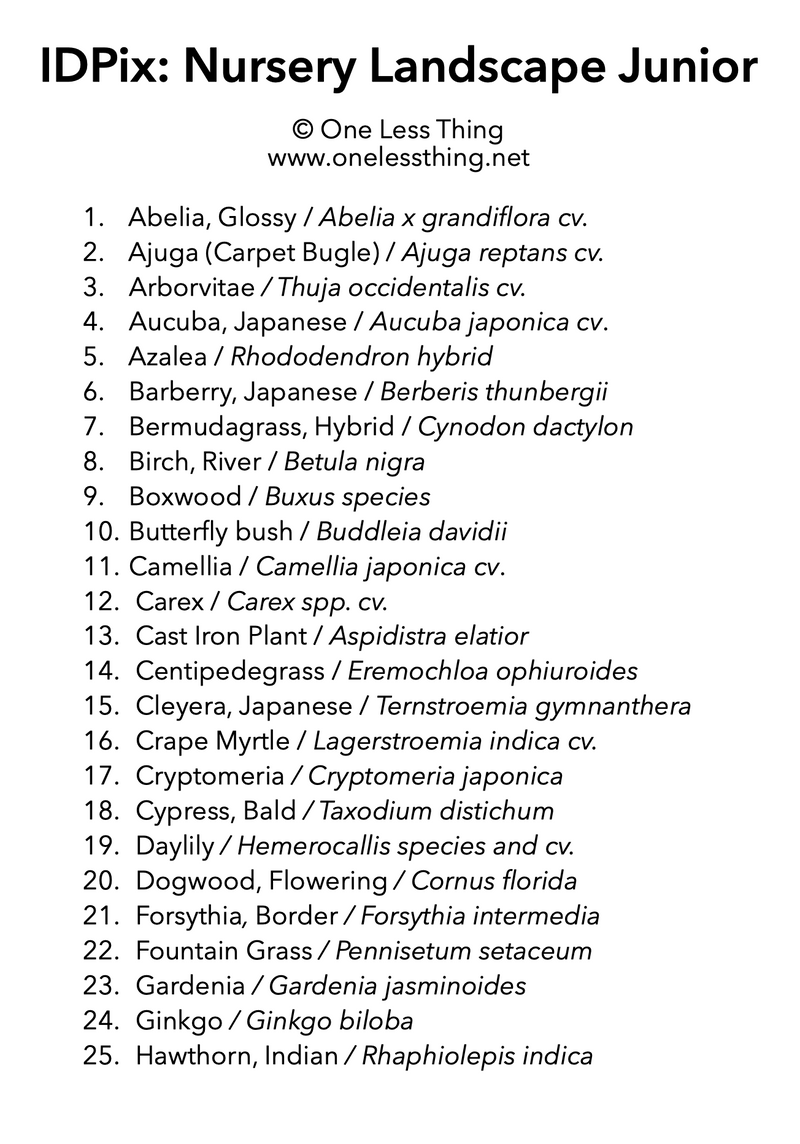 Load image into Gallery viewer, Nursery Landscape ID Junior, IDPix Cards