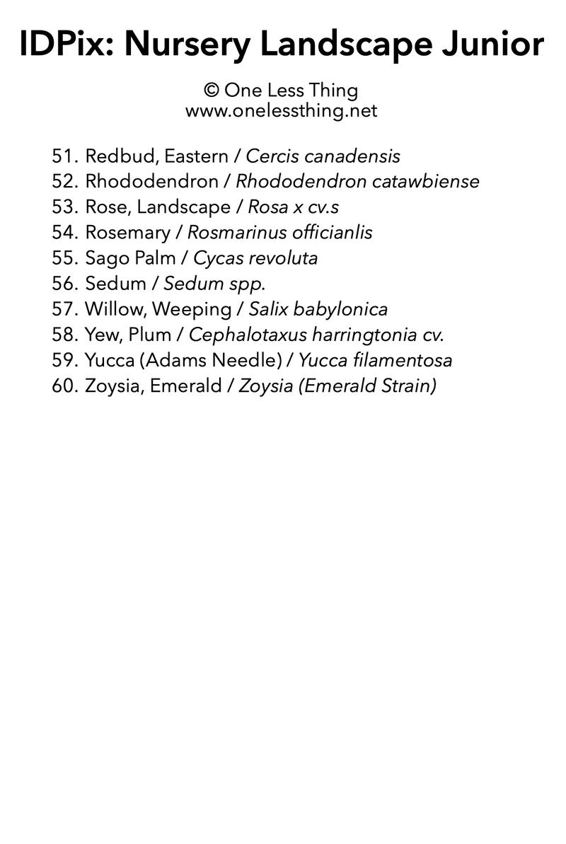 Load image into Gallery viewer, Nursery Landscape ID Junior, IDPix Cards