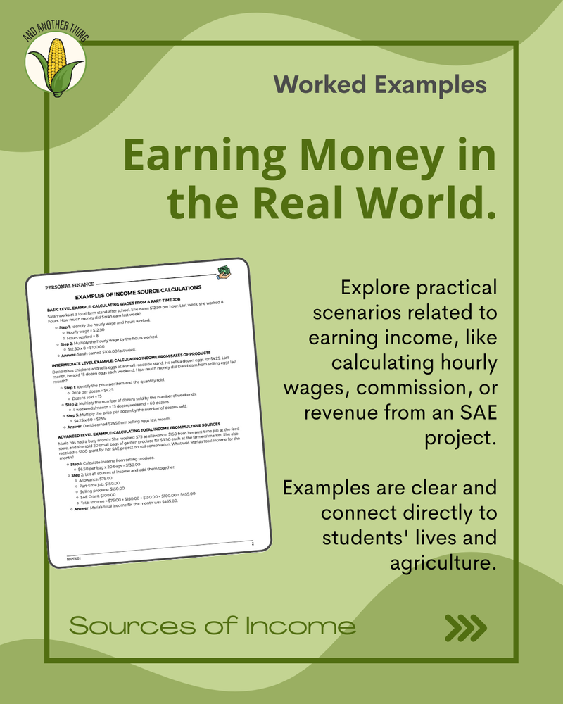 Load image into Gallery viewer, And Another Thing MATH APPLICATION, Personal Finance SOURCES OF INCOME (ANNUAL)