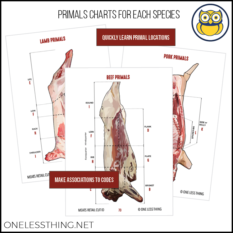 Load image into Gallery viewer, Meats Judging Retail Cut ID, POCKET GUIDE