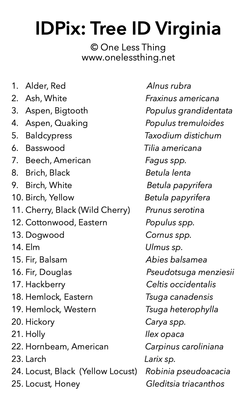 Load image into Gallery viewer, Virginia Tree ID, IDPix Cards