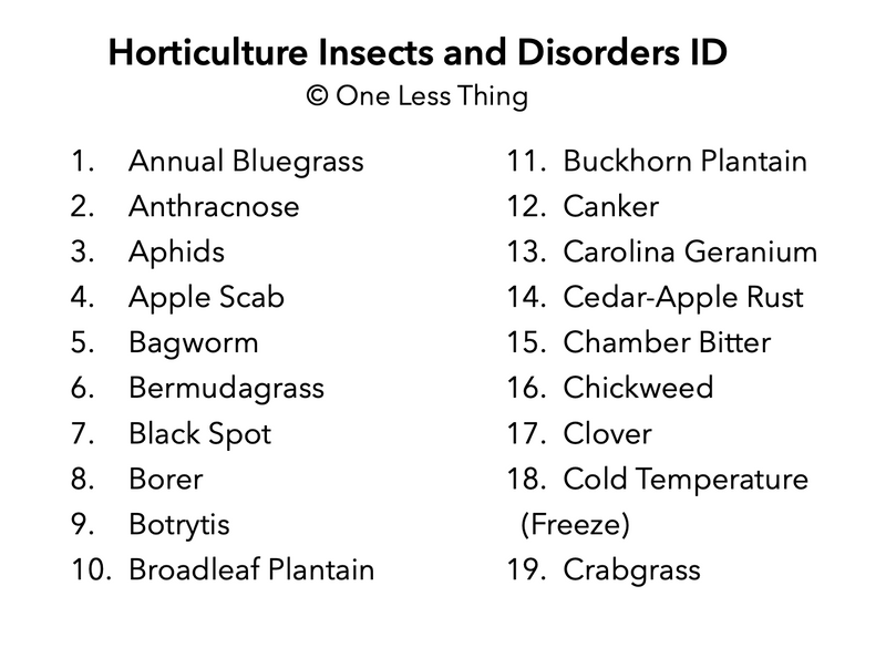 Load image into Gallery viewer, Horticulture Disorders ID, IDPix Cards