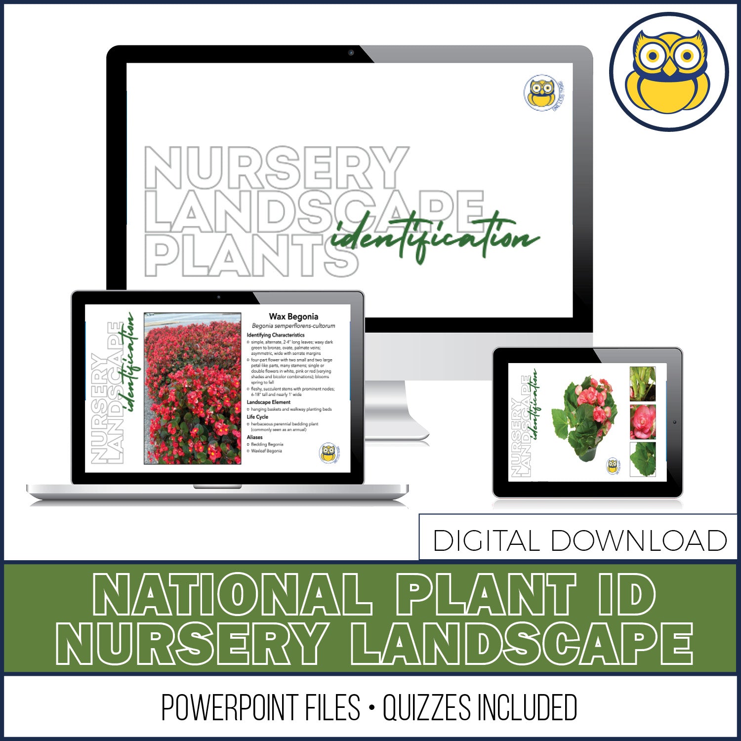 Nursery Landscape ID National, POWERPOINT downloads – One Less Thing
