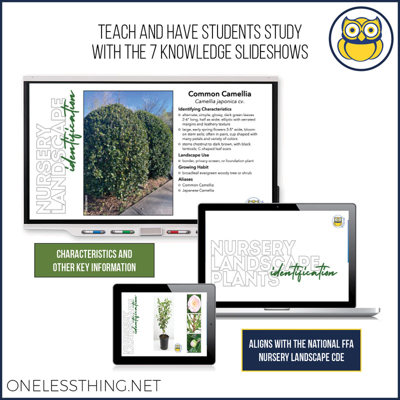 Load image into Gallery viewer, Nursery Landscape ID National, POWERPOINT downloads