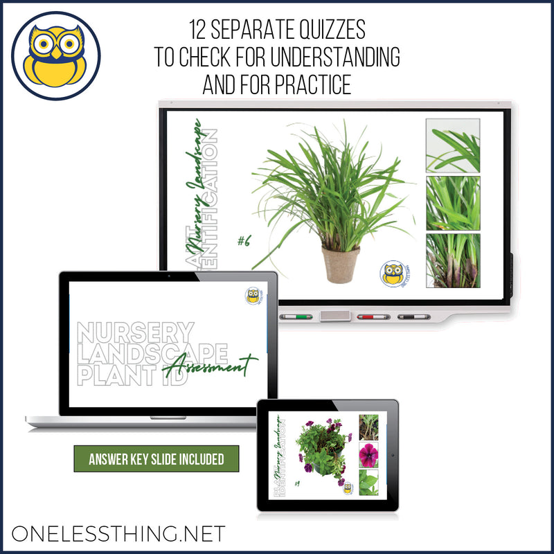 Load image into Gallery viewer, Nursery Landscape ID National, POWERPOINT downloads