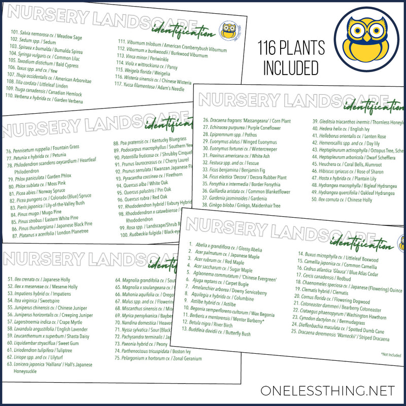 Load image into Gallery viewer, Nursery Landscape ID National, POWERPOINT downloads