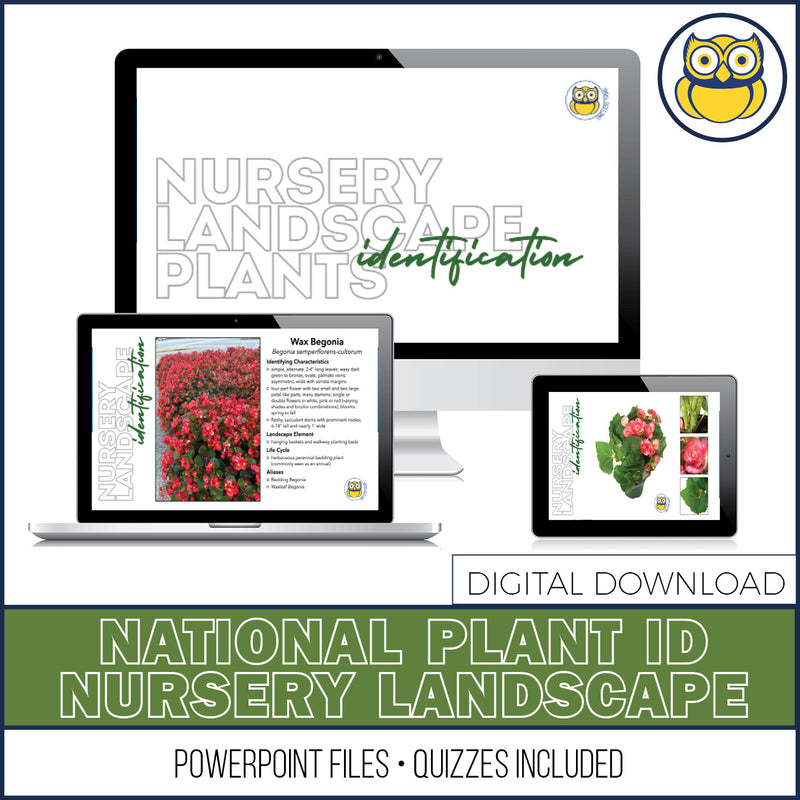 Load image into Gallery viewer, Nursery Landscape ID National, POWERPOINT downloads