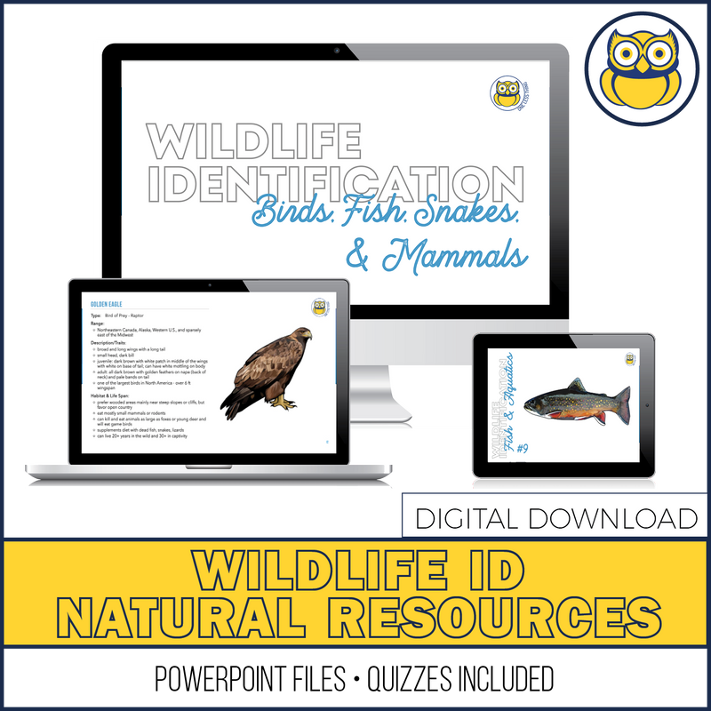Load image into Gallery viewer, Wildlife Identification, POWERPOINT downloads