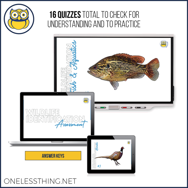 Load image into Gallery viewer, Wildlife Identification, POWERPOINT downloads