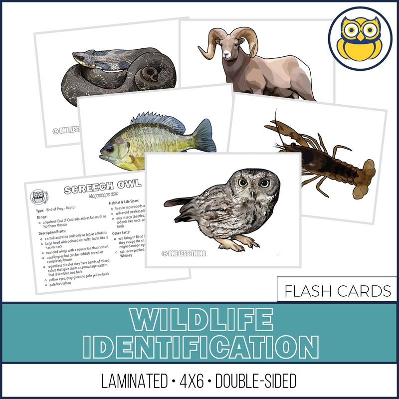 Load image into Gallery viewer, Wildlife Identification, LAMINATED CARDS