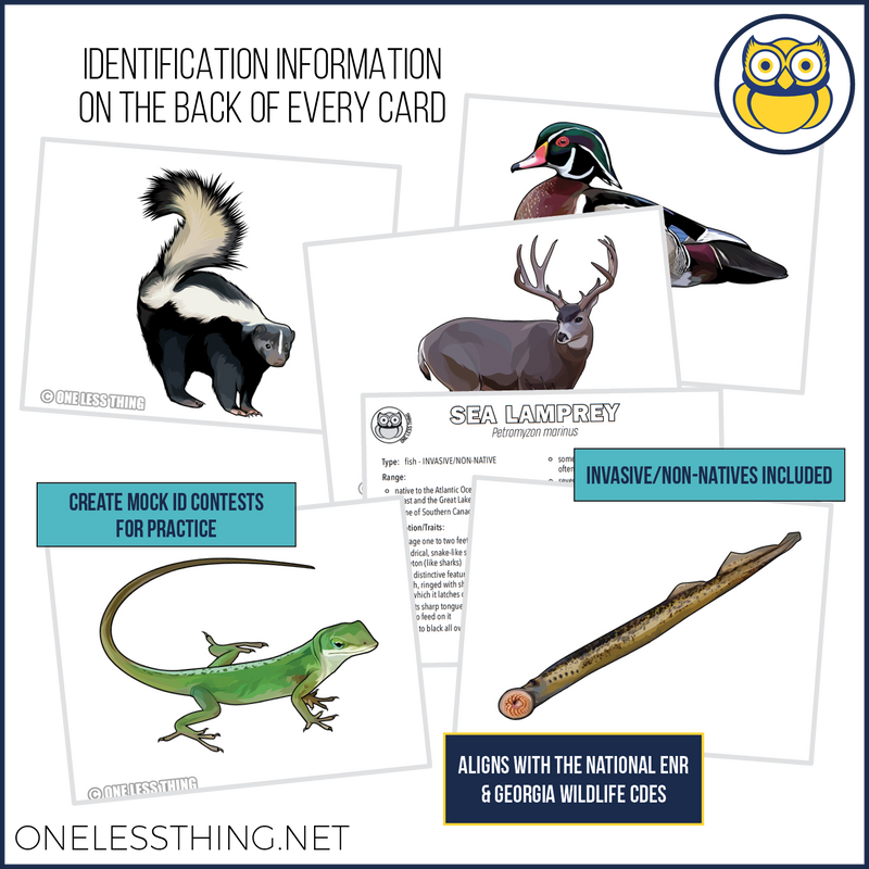 Load image into Gallery viewer, Wildlife Identification, LAMINATED CARDS