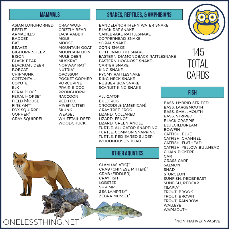 Load image into Gallery viewer, Wildlife Identification, LAMINATED CARDS