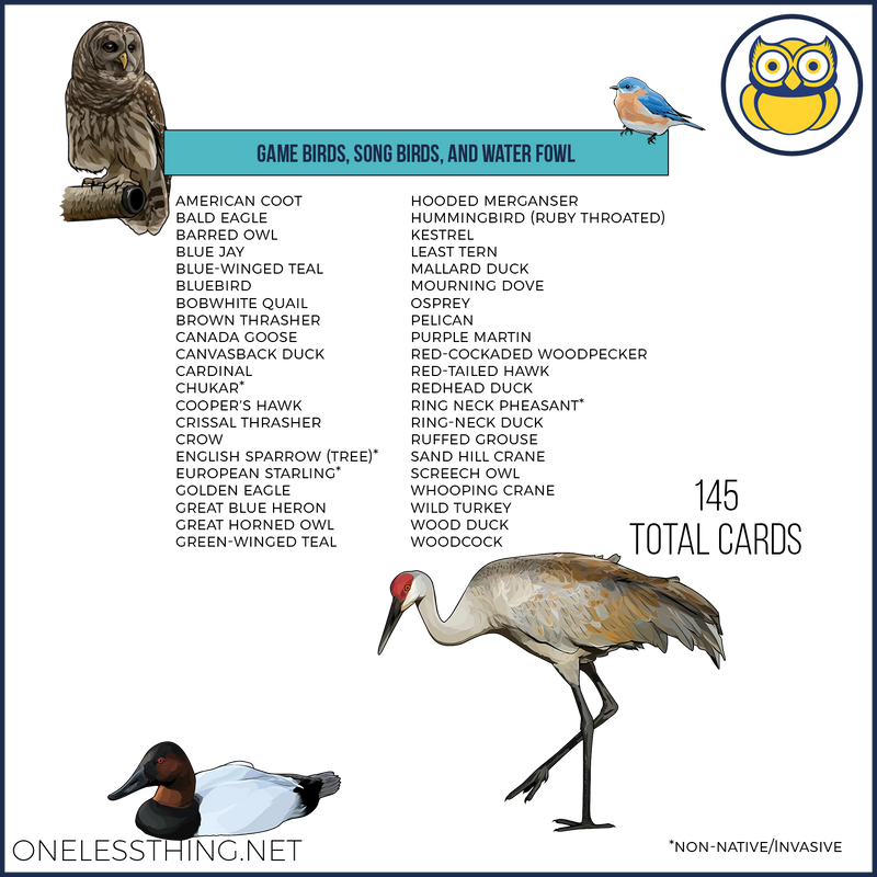 Load image into Gallery viewer, Wildlife Identification, LAMINATED CARDS