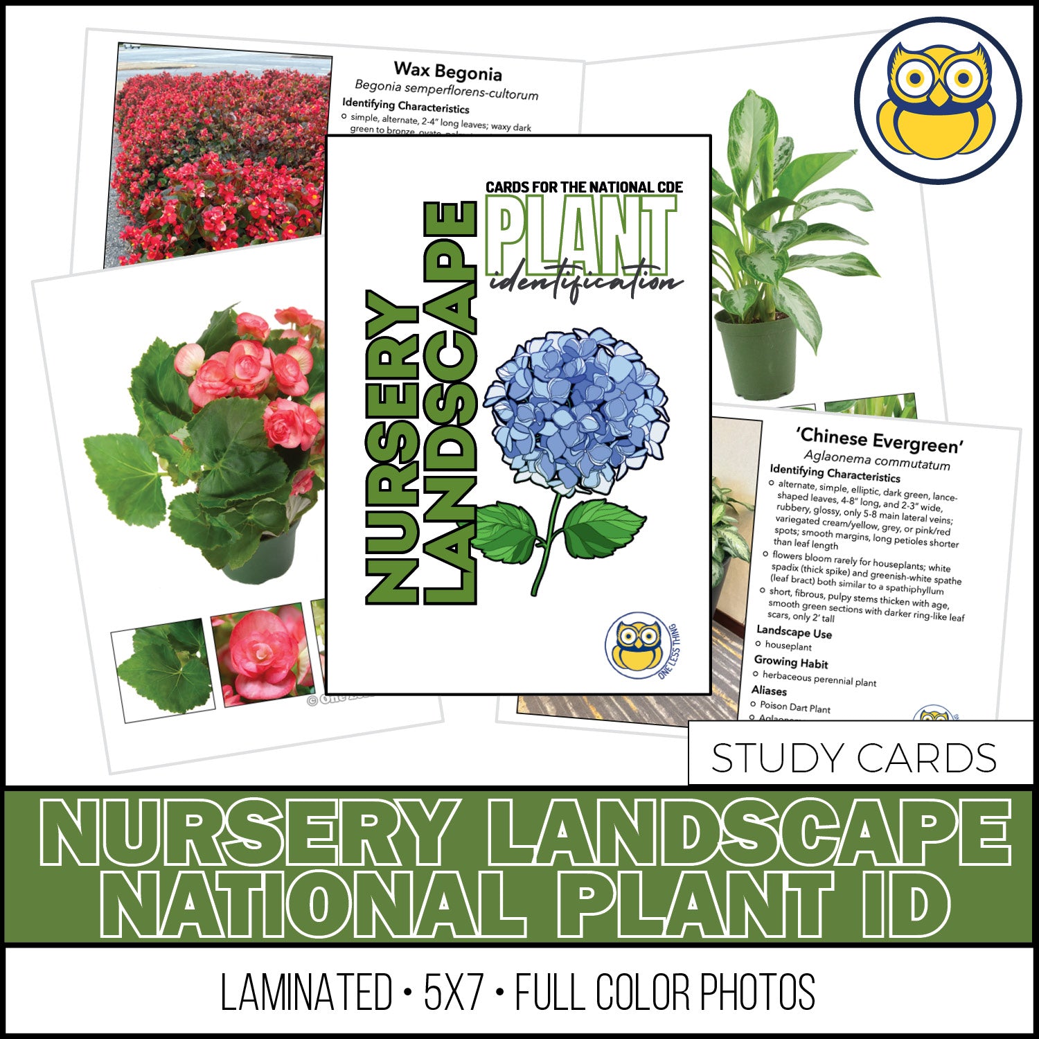 Nursery Landscape ID National, IDPix Cards – One Less Thing