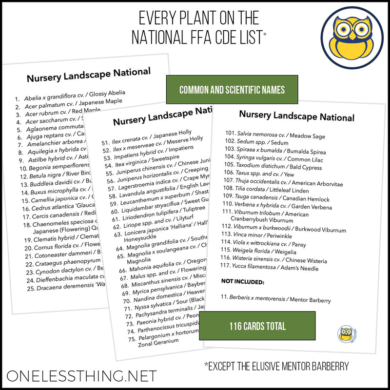 Load image into Gallery viewer, Nursery Landscape ID National, IDPix Cards