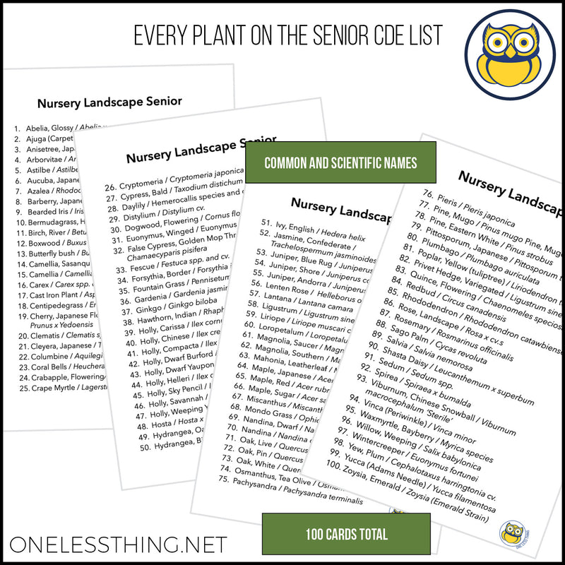 Load image into Gallery viewer, Nursery Landscape ID Senior, IDPix Cards