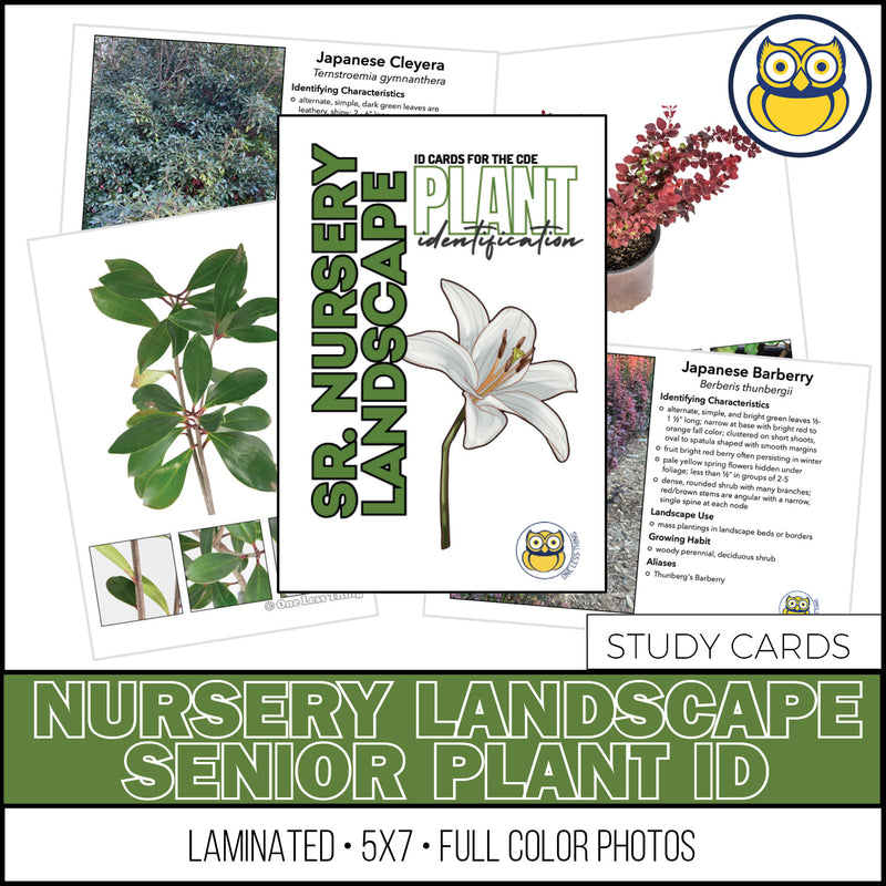 Load image into Gallery viewer, Nursery Landscape ID Senior, IDPix Cards