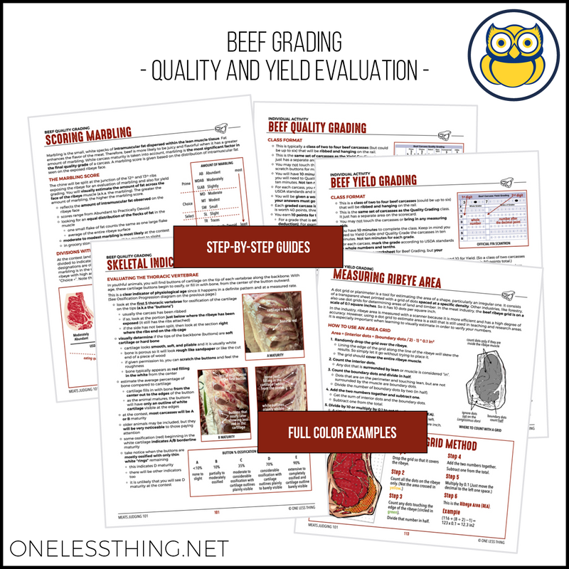 Load image into Gallery viewer, Meats Judging 101 CDE Handbook, SPIRAL-BOUND BOOK