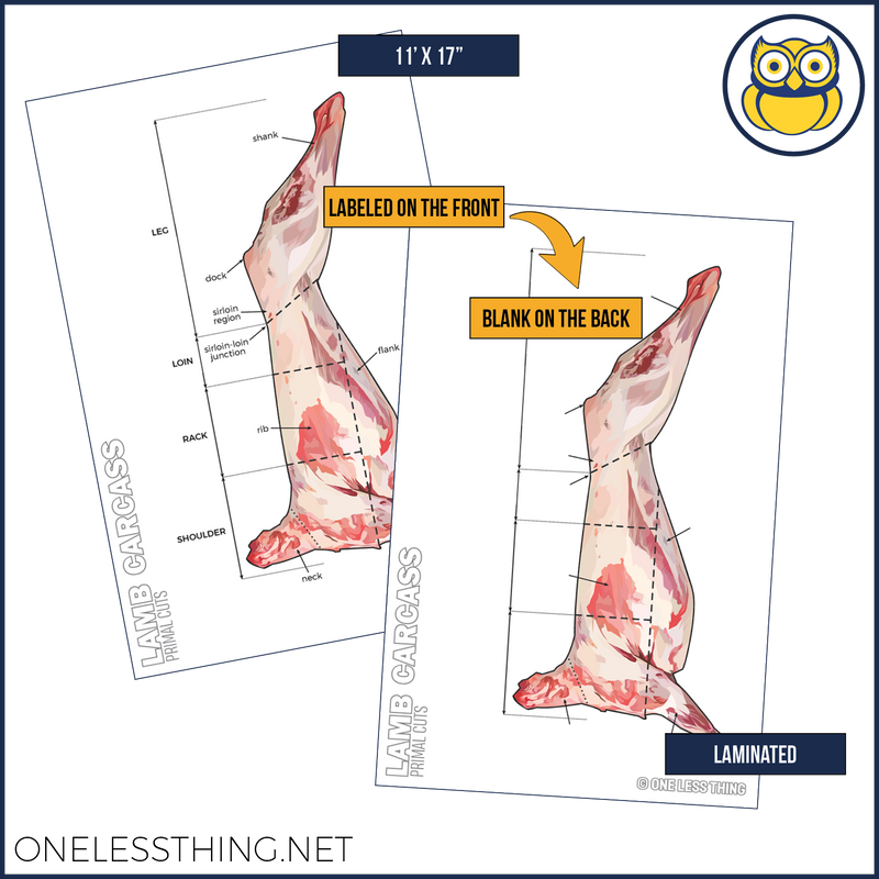 Load image into Gallery viewer, Meats Judging Carcass Anatomy, 5 Poster Set