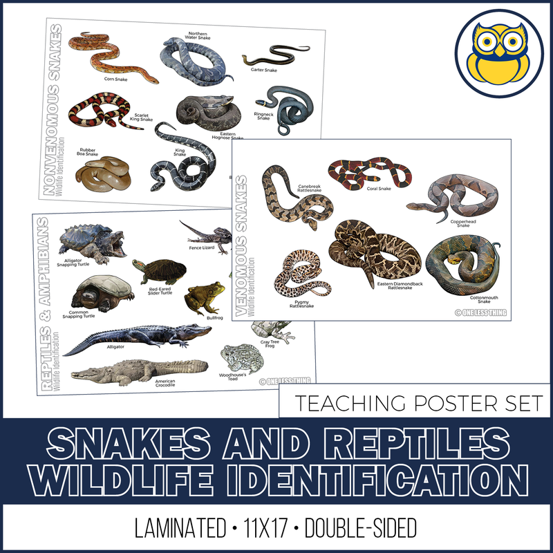 Load image into Gallery viewer, Wildlife ID Snakes and Reptiles Posters, Set of 3