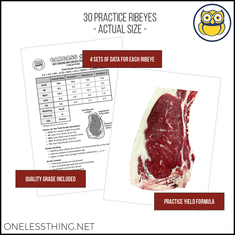 Load image into Gallery viewer, Beef Yield Grading, Skill Builder SET 2