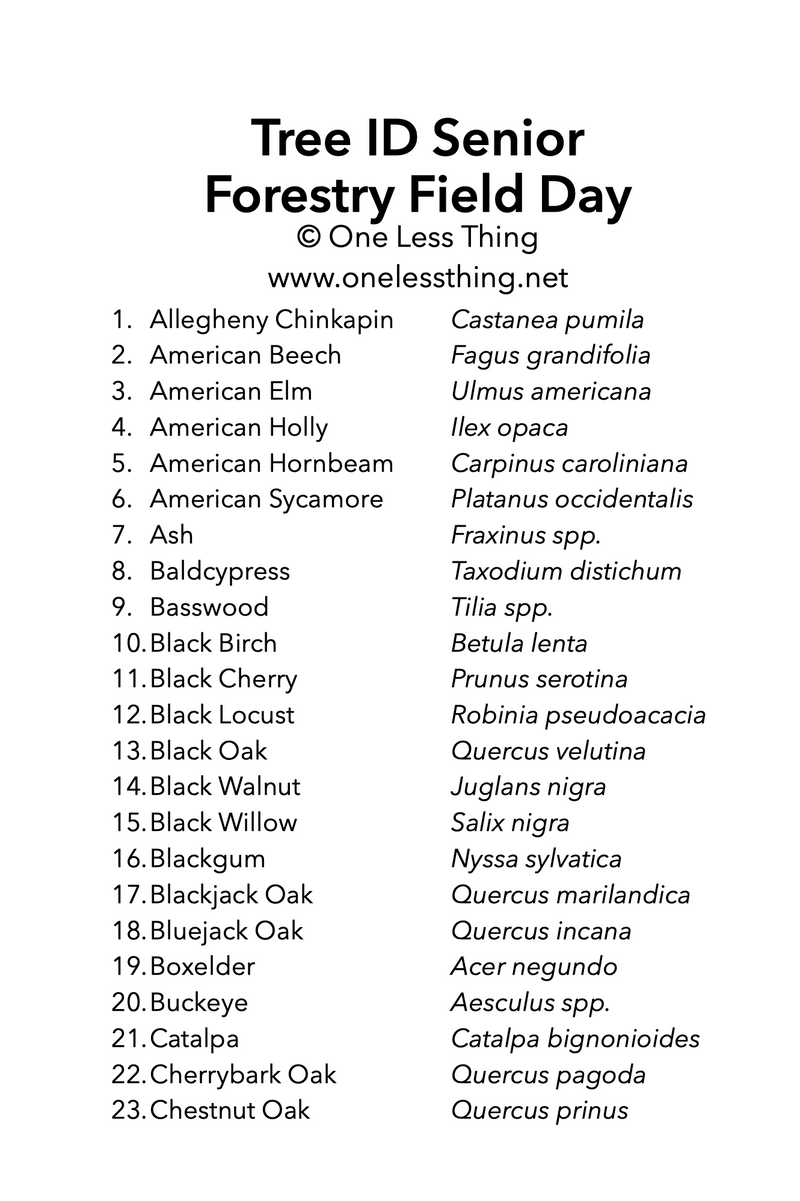 Load image into Gallery viewer, Forestry Field Day Senior Tree ID, IDPix Cards