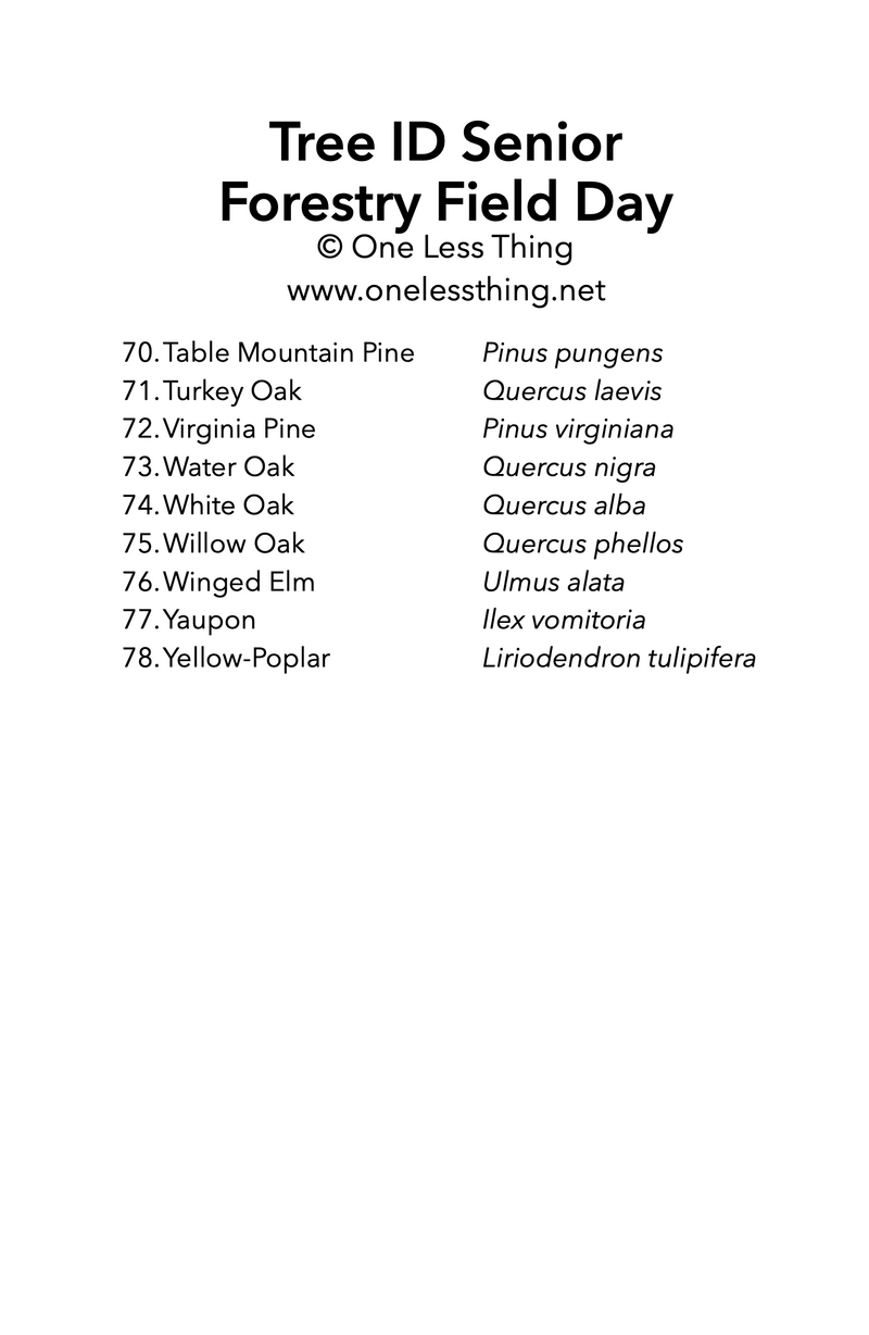 Load image into Gallery viewer, Forestry Field Day Senior Tree ID, IDPix Cards