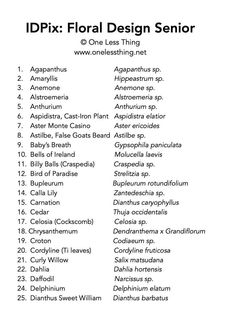 Load image into Gallery viewer, Floral Design ID Senior, IDPix Cards