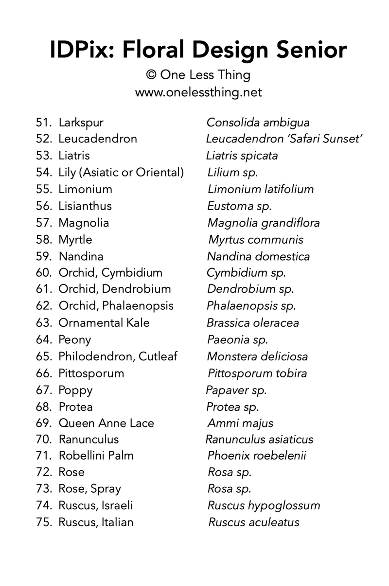 Load image into Gallery viewer, Floral Design ID Senior, IDPix Cards